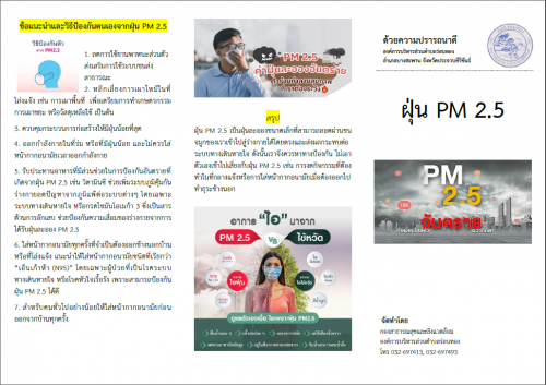 การป้องกันและดูแลสุขภาพจากฝุ่นละออง PM 2.5