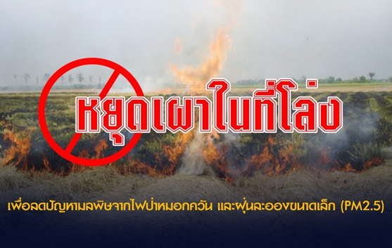 รณรงค์หยุดเผาในที่โล่งแจ้ง เพื่อลดปัญหามลพิษจากไฟป่าหมอกควัน และฝุ่นละอองขนาดเล็ก (PM 2.5)