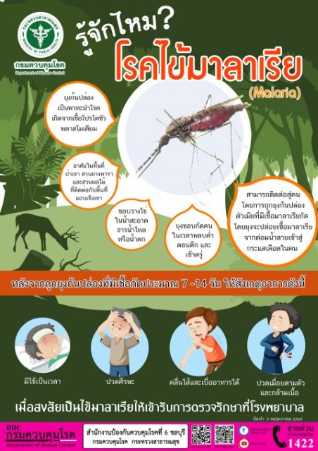 25 เมษายน วันมาลาเรียโลก "ไข้มาลาเรียรู้ไว้ป้องกันได้"