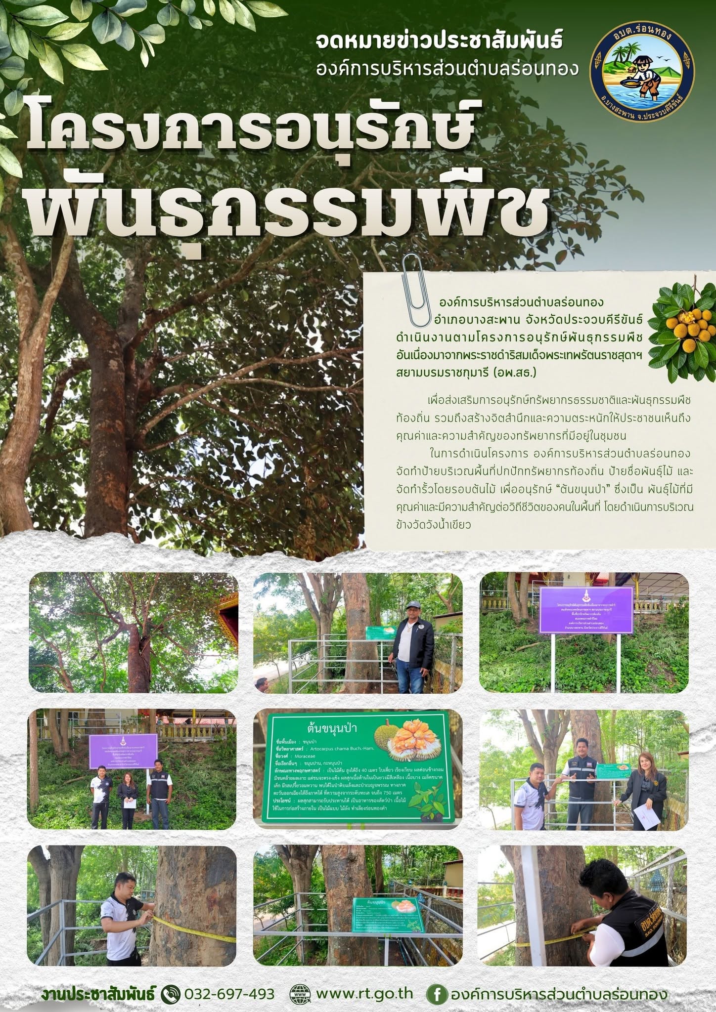 📣🌱 โครงการอนุรักษ์พันธุกรรมพืชอันเนื่องมาจากพระราชดำริฯ 🌳